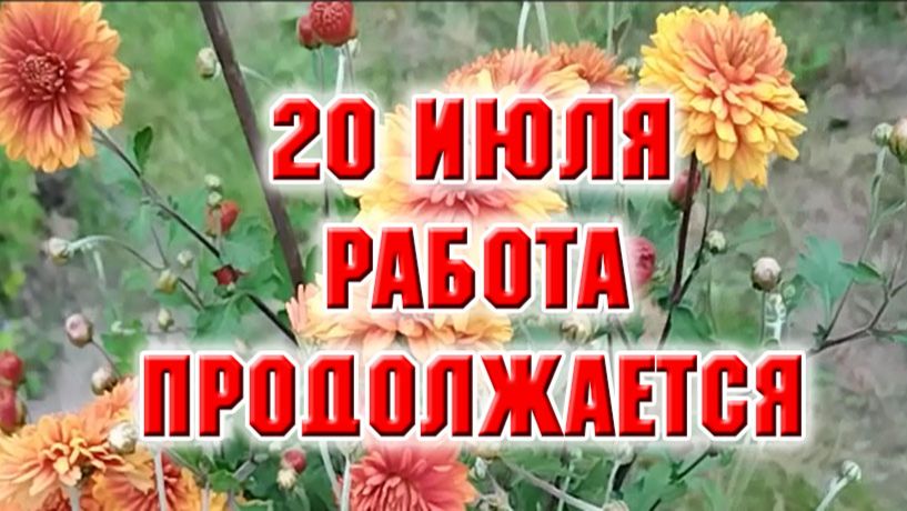 Любимая дача