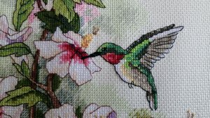Hummingbird Art (Dimensions, 13667) : просто кручу французские узелки
