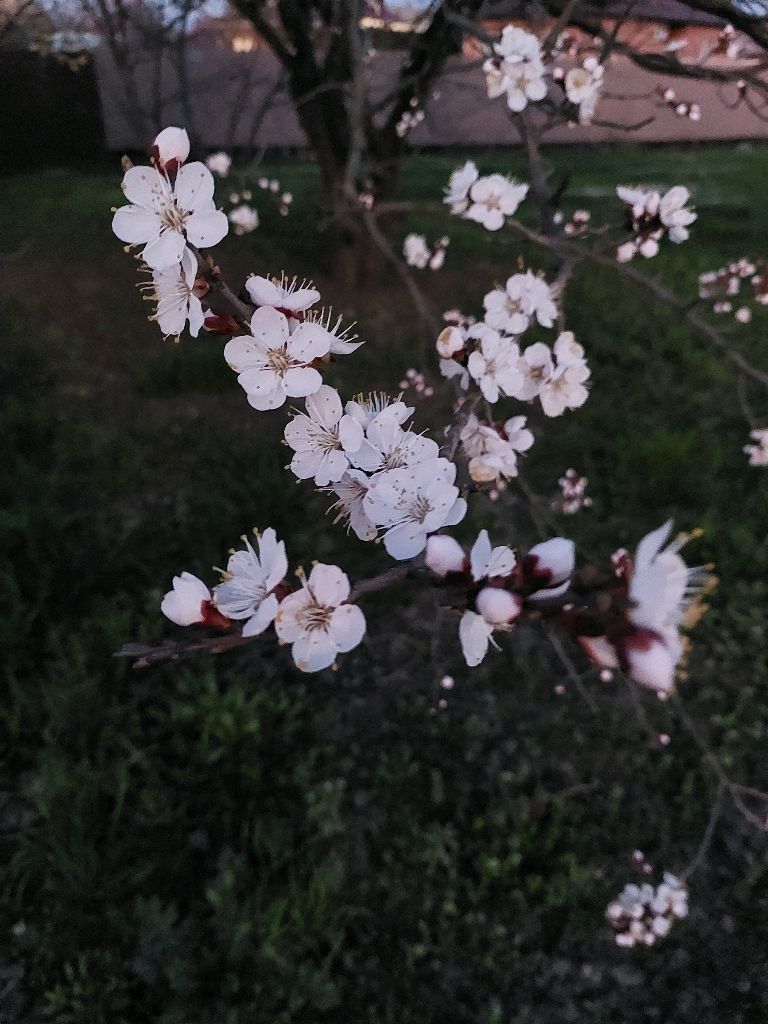 сквиши с лп💗🫶 смотреть онлайн