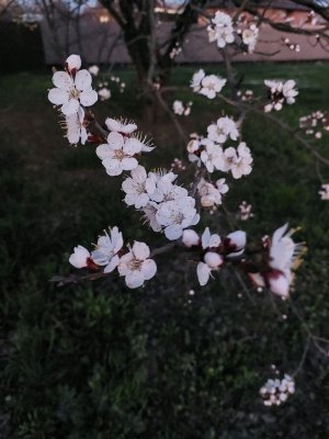 сквиши с лп💗🫶