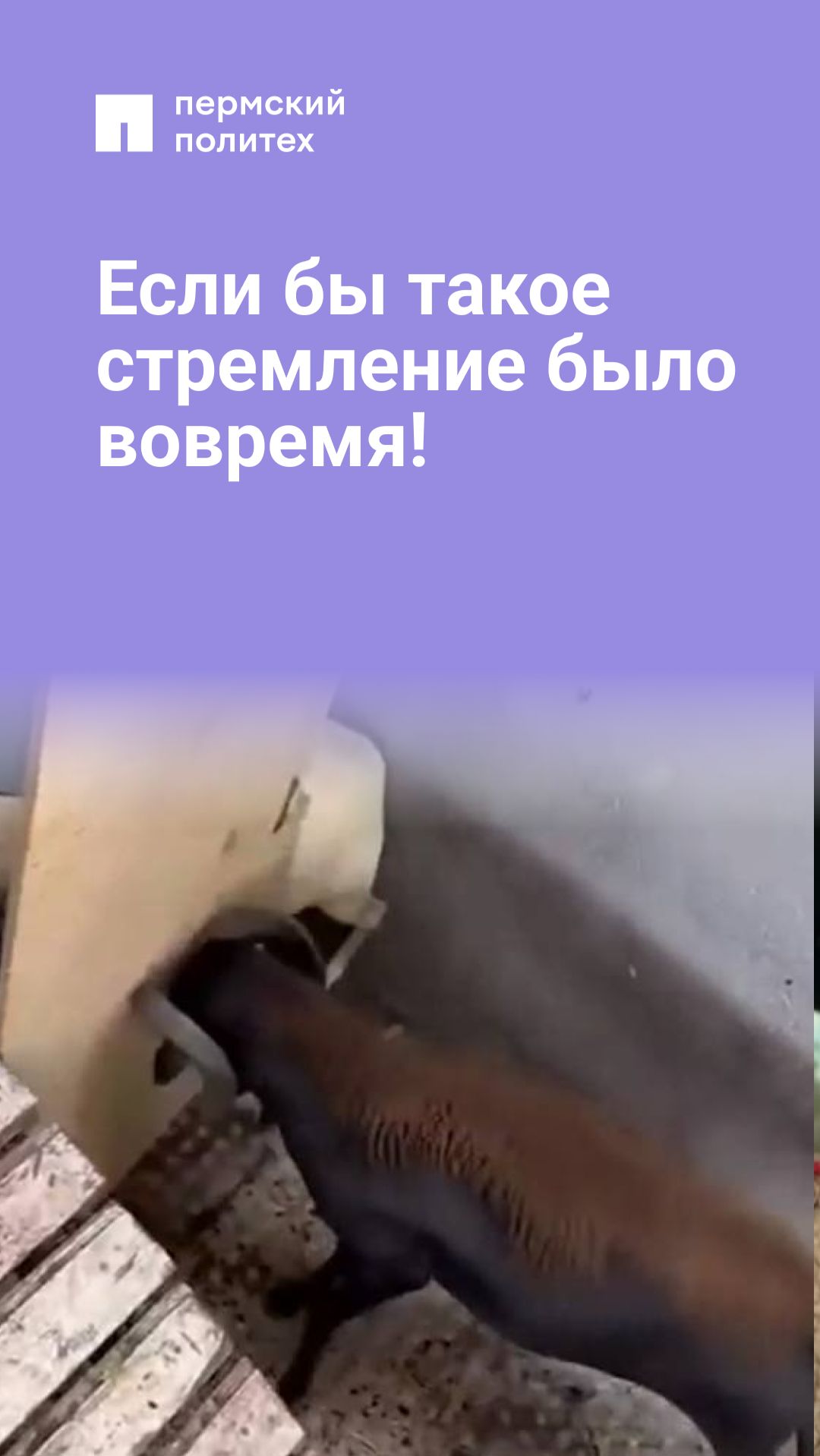 Если бы такое стремление было вовремя!