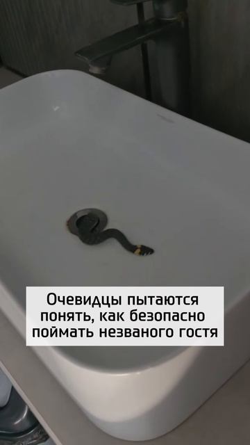 Сюрприз в ванной...