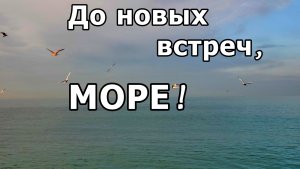 ТАМ, ГДЕ ДЫШИТСЯ ЛЕГКО. УТРО. МОРЕ. НЕ ПРОЩАЕМСЯ. ОБМАНУЛИ ЧАЕК. АДЛЕР В НОЯБРЕ 2025. 5 ДЕНЬ ОТПУСКА