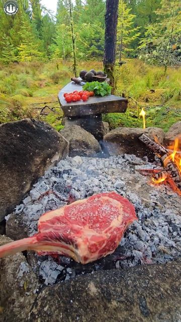Дикое мясо на костре 🔥 смотреть онлайн