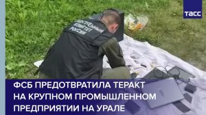 ФСБ предотвратила теракт на крупном предприятии на Урале