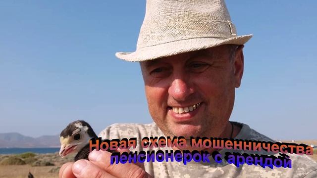 Вопросы и ответы Юриста