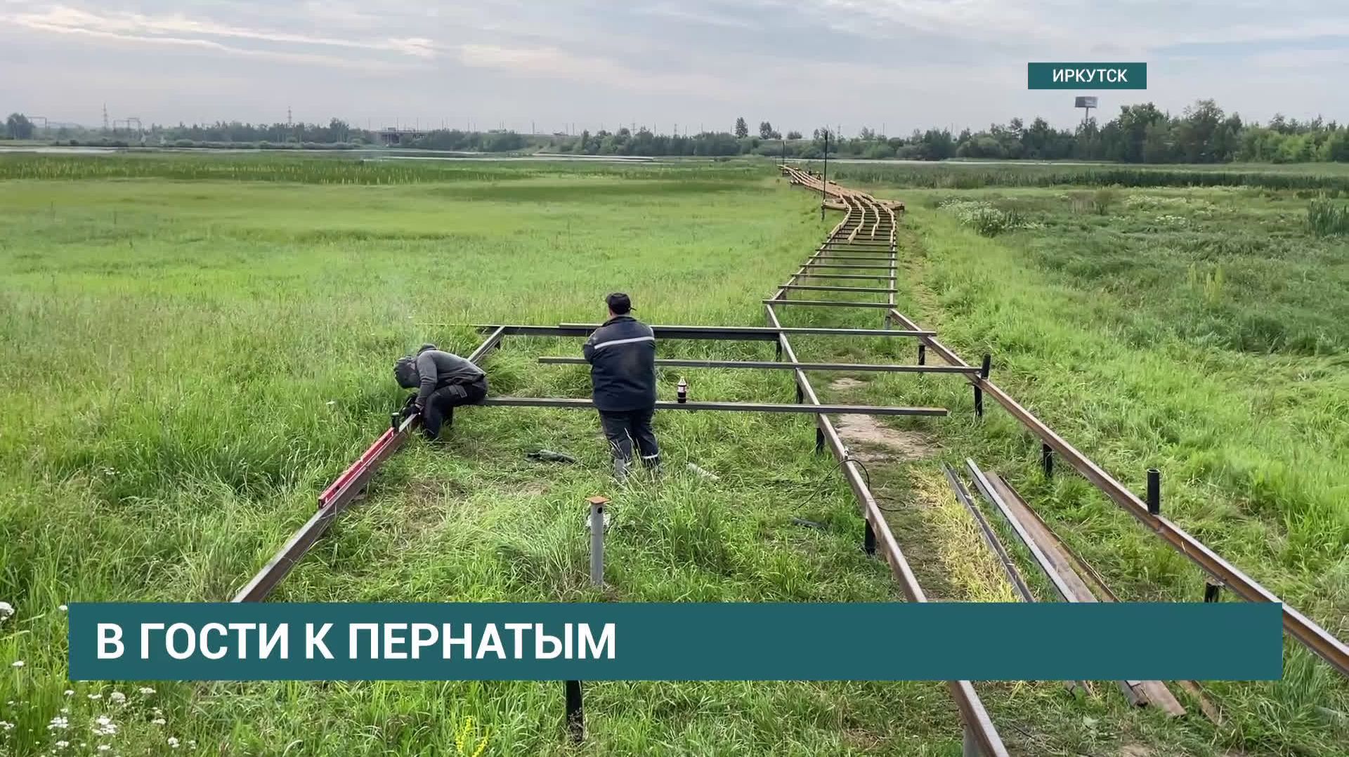 В Ново-Ленино ведется благоустройство экотропы «Птичья гавань»
