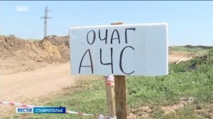 Ряд важных тем обсудили на совещании правительства Ставрополья