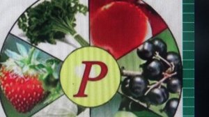 ВИТАМИН 💥 Р(РУТИН)💥  ПОЛЬЗА   💥ПРОДУКТЫ 💥 ПОДПИШИСЬ💯