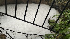 Течет ручей в голосовом овраге