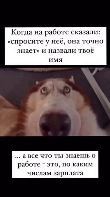 Попадос