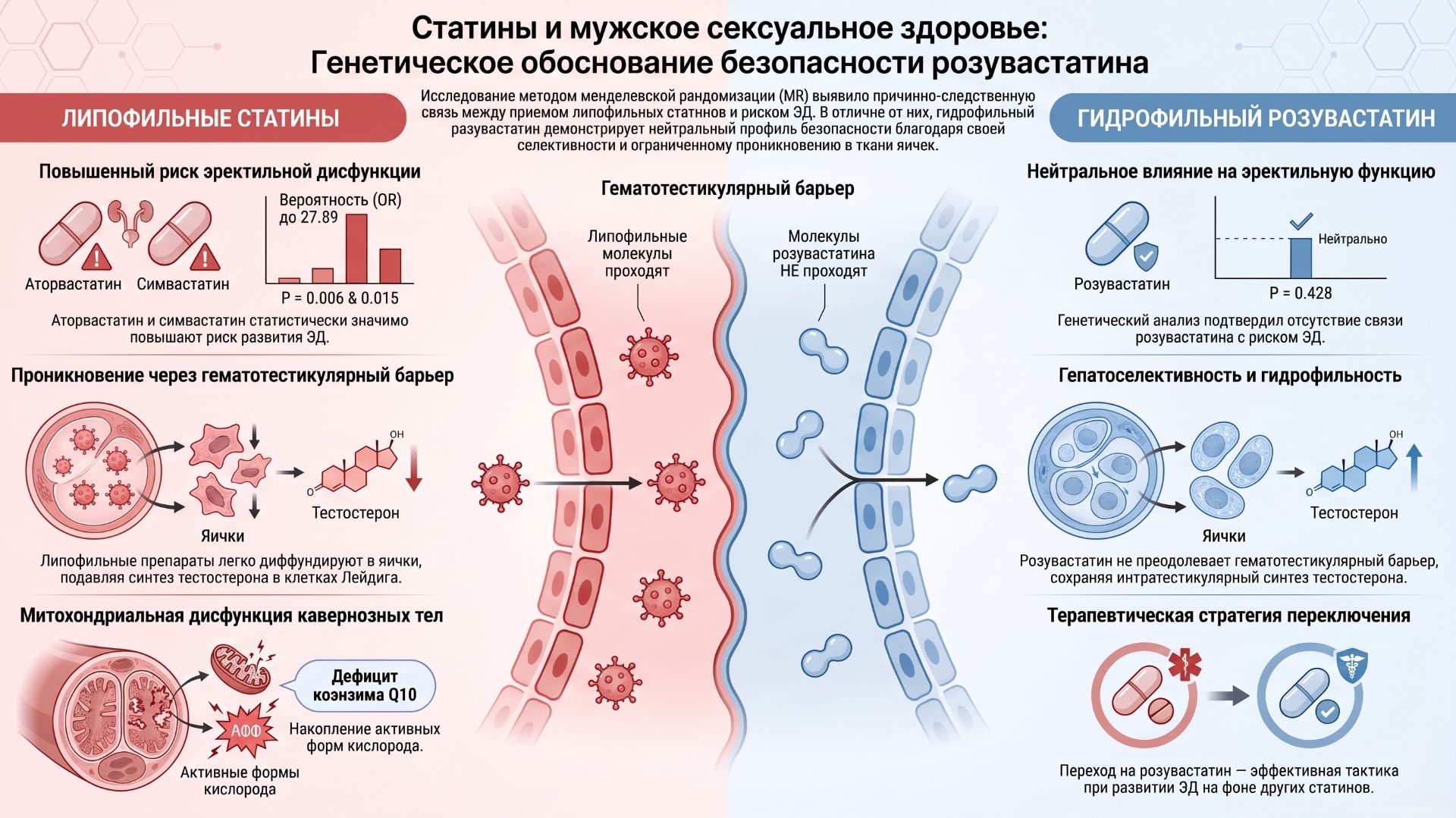 Статины и мужское сексуальное здоровье. Превосходство профиля безопасности розувастатина