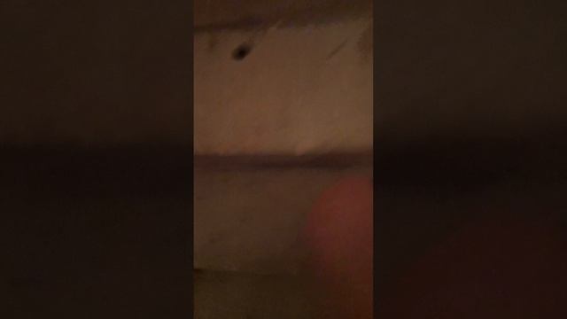 1000027487.mp4 смотреть онлайн