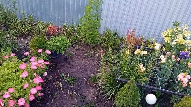 1000037503.mp4 смотреть онлайн