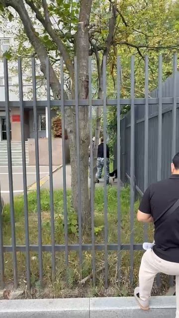 Два суда в Москве экстренно эвакуировали смотреть онлайн