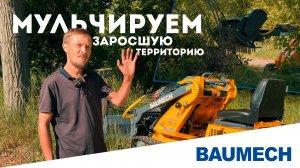 Расчищаем заросшую территорию мульчером | BAUMECH ML-03 в работе