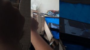 поездка на новый картонной фуре с музлом