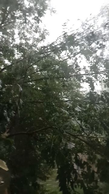 У нас сильный дождь и гроза с громом... (сейчас дождь утихает)