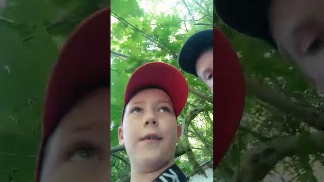 пишите задание 🗿 смотреть онлайн