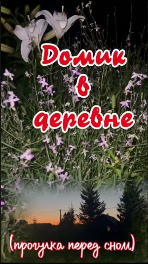 Домик в деревне. Летняя ночь. Ароматный сад.