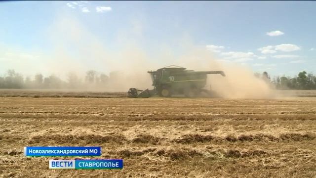 Экватор жатвы на Ставрополье преодолён смотреть онлайн