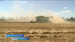 Экватор жатвы на Ставрополье преодолён