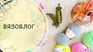 Вязовлог 💫интересный персонаж/снова гуси/горох