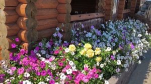Мы в пути, мы в дороге... 21.07.26.
