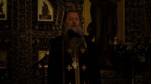 «Вечернее размышление об одеянии Пречистой Девы». Проповедь протоиерея Артемия Владимирова. 200726.