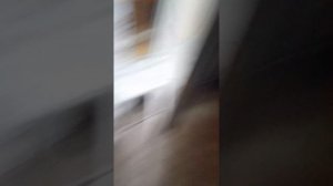 арена
