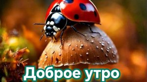 С добрым утром . Красивая музыкальная открытка.