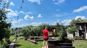 Саратов 21.07.26 что реально происходит прямо здесь сейчас Саратов