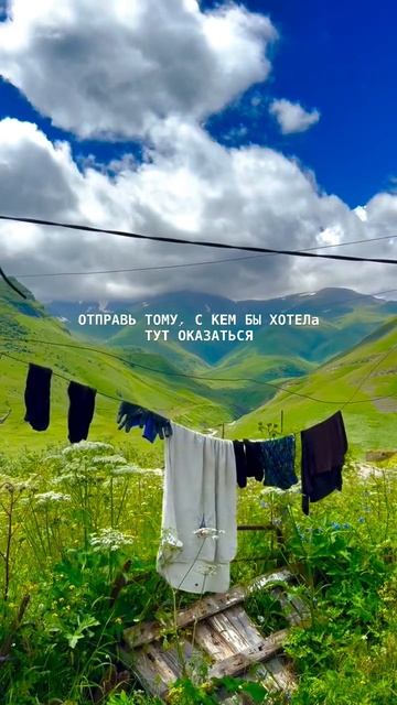 Перезагрузка …