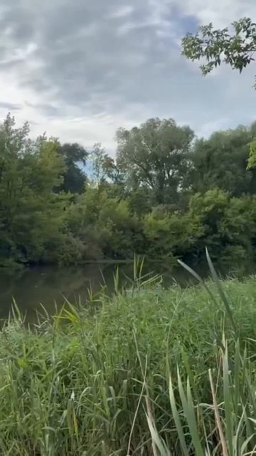 ❤️ Давайте просто жить...