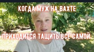 311Когда муж на вахте, тащу все сама/Вычистила малинник/Персики поспели/Бассейн как релакс/Шарлотка