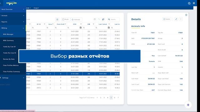 Система LiveVue360 от DairyMaster