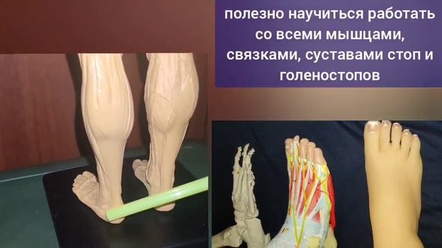 Пальцы ног = уникальные инструменты для укрепления стоп, шеи и глаз. Декомпрессия тарзального канала смотреть онлайн
