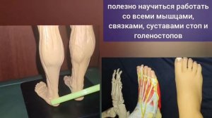Пальцы ног = уникальные инструменты для укрепления стоп, шеи и глаз. Декомпрессия тарзального канала