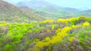fantastic_places.fhd.30fps-test-2