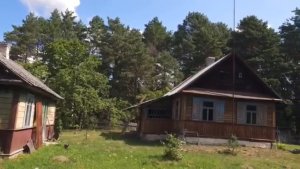 ☀️Лето на хуторе: продолжаем ЦАРСКИЙ проект. Змея, жук 🪲 и нападение на странную птицу🦉
