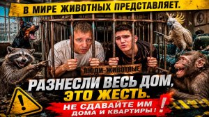 В МИРЕ ЖИВОТНЫХ - ВИТАЛИЙ РЕУТОВ И СТЕПАН БЕРКУТОВ | НЕ СДАВАЙТЕ ИМ ДОМА И КВАРТИРЫ #e1 #бородин