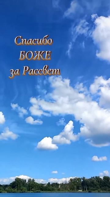 Спасибо, боже...