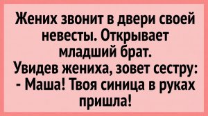Жених звонит в двери своей невесты. Открывает младший брат... | Анекдоты смешные | Юмор