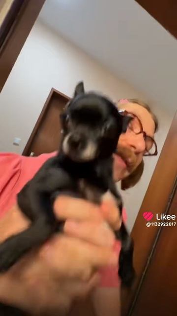 1000001476.mp4 смотреть онлайн