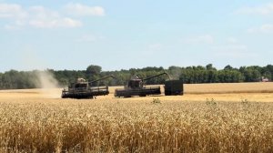 зерноуборочные комбайны палессе на уборочной пшеницы 21июля 2026 г
