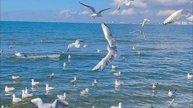 Я мечту навеяла морской волной. смотреть онлайн
