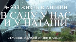 Это жабка? В саду у нас и у Наташи. № 983 Жизнь в Англии