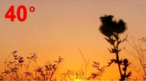 На Ставрополье ожидается до 40 градусов жары, продлён запрет на въезд в леса