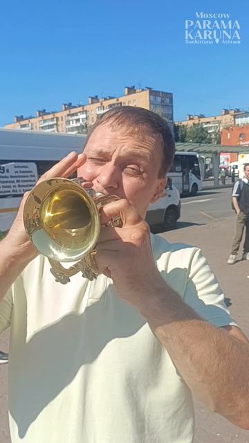 Ролики
