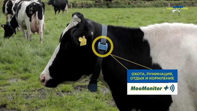 MooMonitor+ Что такое MooMonitor+